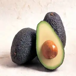 厂家供应101鳄梨提取物提高免疫力降低胆固醇质量保证湖南天下康生物图片,厂家供应101鳄梨提取物提高免疫力降低胆固醇质量保证湖南天下康生物高清图片 厂家供应101鳄梨提取物提高免疫力降低胆固醇质量保证湖南天下康生物图片,厂家供应101鳄梨提取物提高免疫力降低胆固醇质量保证湖南天下康生物高清图片