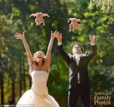  搞怪情侣新人婚礼抛鸡瑜伽造型接吻图