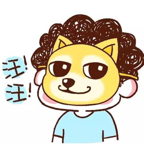  有没有什么好看的能彰显单身狗别太明显,要疯狂暗示的那种的微信头像