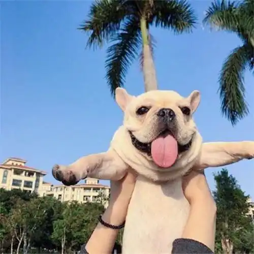 搞怪表情图片真人头像辟