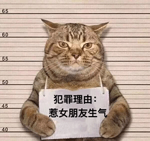  好家伙情侣暧昧期时都是怎么聊天的我直接看上头了
