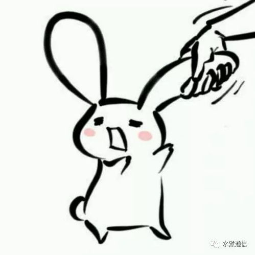 关于流量漫游费取消的9点正见