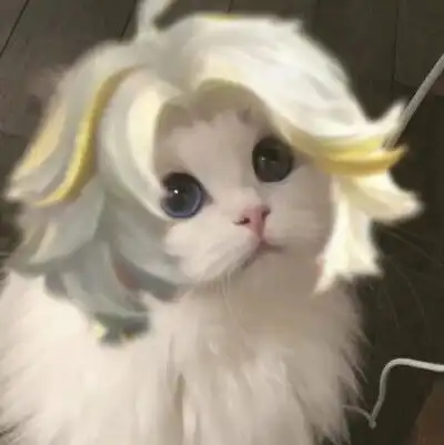  猫咪cos王者荣耀头像