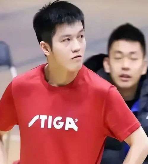 小胖孩情侣头像樊振东