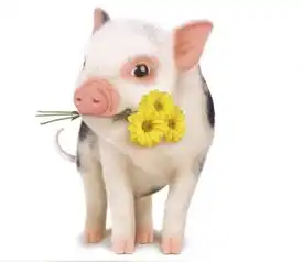 老君山红帽女情侣头像小