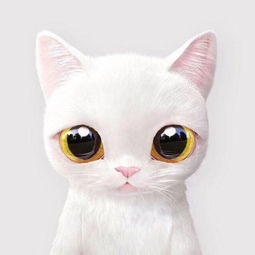  可爱猫猫情侣头像一对两张