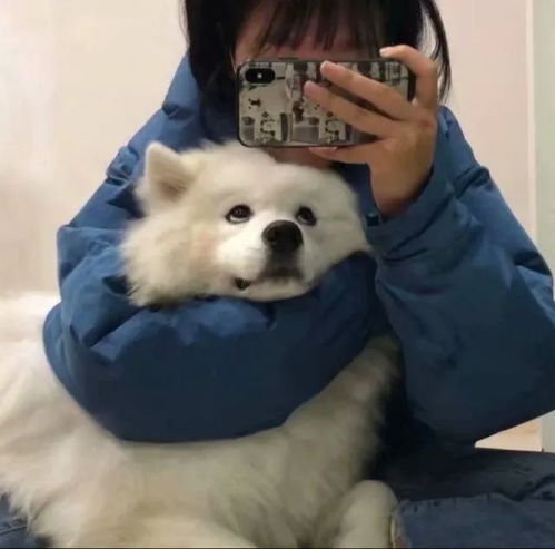  阔以成为你的新头像嘛