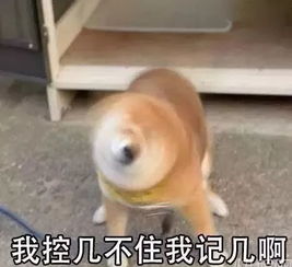  惊呆游客凤凰山亚布力下雪了问君能有几多愁,恰似没穿秋裤遇寒流