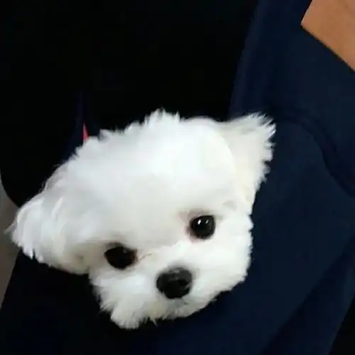  头像超好看的ins风组图