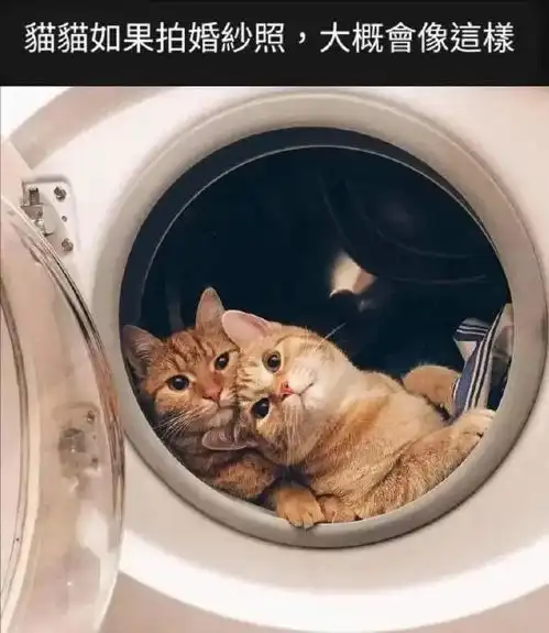  不怕面对阴影因为知道身后有阳光