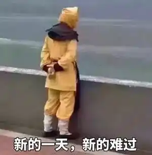  哈哈哈这12个神回复太爆笑了,瞌睡都给我笑醒了