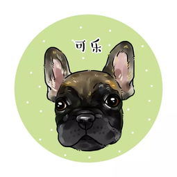  宠物斗牛犬可爱卡通漫画头像,你来嗮我来画