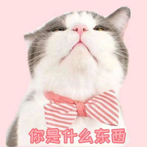  10月30日凌晨1点航拍南京10.29金盛百货大楼大火扑灭后景象