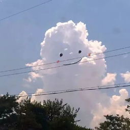  青协捐衣活动圆满结束