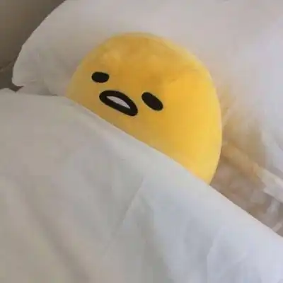 可爱萌物头像图片布娃娃抱抱熊 可爱萌物头像图片布娃娃抱抱熊