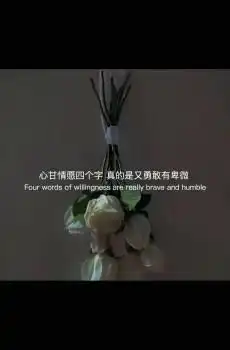  抖音最火伤感带字说说文案