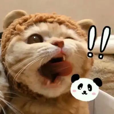 红线情侣头像橘猫