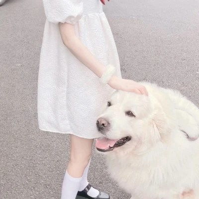  冷门情侣头像二人专用,冷门又好看的情头