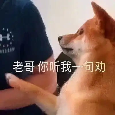  这类保险的赔付率,太吓人了