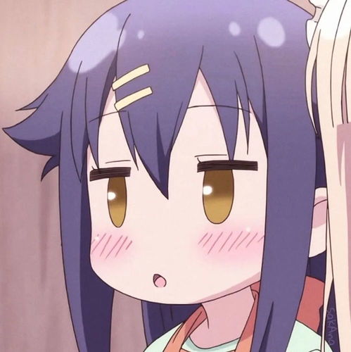  无标题