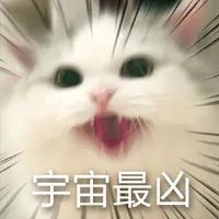  全村都劝我别养那只凶猫,后来...真香