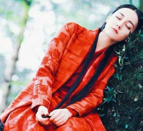  树上的睡美人杨幂赵丽颖仙气过重,杨紫摇摇欲坠太呆萌
