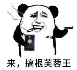  带打火机了吗暴走熊猫表情包下载乐游网游戏下载