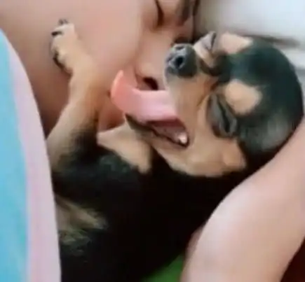  男主人抱着狗狗睡觉,女主人一来,狗狗的眼神太逗了
