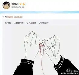  刘翔被曝已买好婚房前妻葛天或早有新恋情