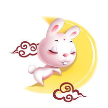  十二生肖会喜欢什么样的爱情4