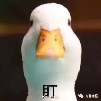  女司机刚拿驾照就撞车,老公无奈车上张贴8张提醒求生欲太强了