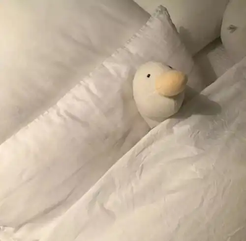 头像ins高级质感小众情