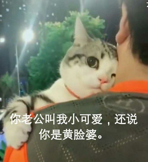  男孩子发了可爱的表情包,一般情况是怎么来的