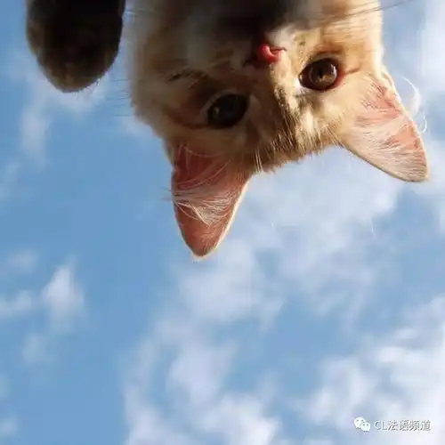  拯救坏情绪为你唱一首明媚的歌