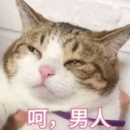  说好一起挂科,你却偷偷复了习