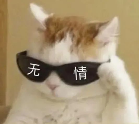  大学生放假抢票图鉴