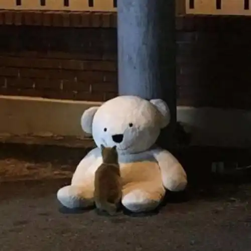  tang.325超多暗黑头像快来瞧瞧