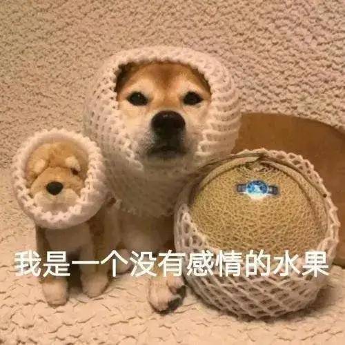  沙雕表情包点击头像处对象