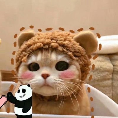  池乔爬爬可爱橘色猫猫情头自加情侣头像我要个性网