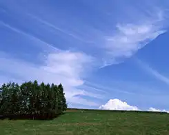  音乐诗歌吧轻轻看云
