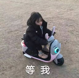  王力宏莫文蔚许巍赵雷老狼要来海口还有这21项文体活动要约