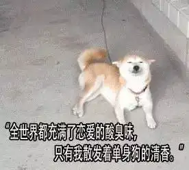  上海地铁偷拍女孩裙底被帅大叔当场吊打丨上海城事