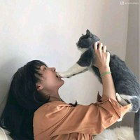 抱着猫的高清情侣头像微信头像图片大全