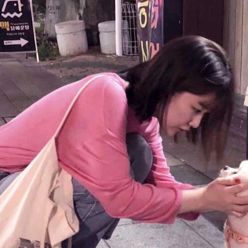  沙雕情头6看沙雕头像,品沙雕人生з