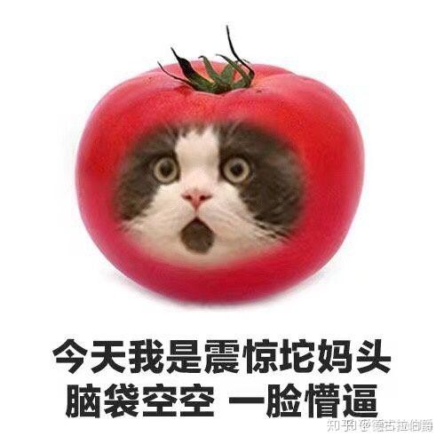 水果表情头像沙雕