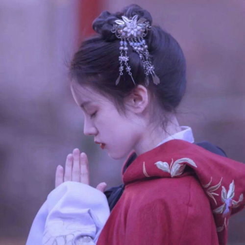  我的收藏夹