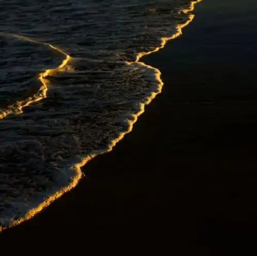 214情人节情人节发朋友圈文案 214情人节情人节发朋友圈文案