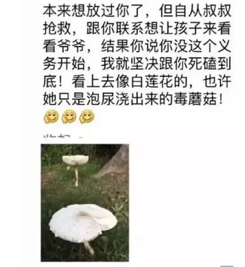  董洁被撕看似白莲花实则毒蘑菇网友情商被白百何甩几条街