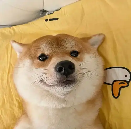  神反转的搞笑文案