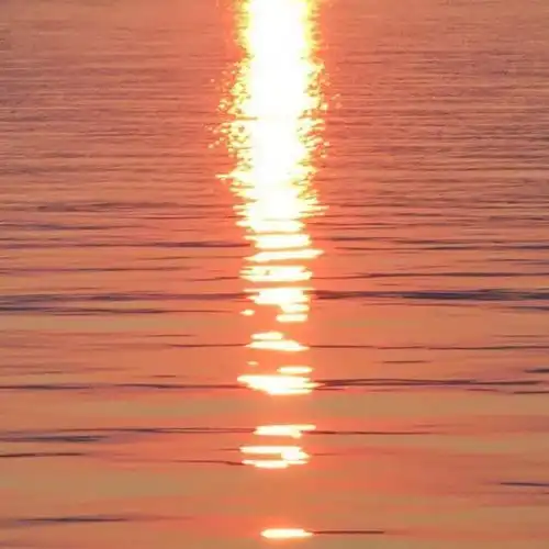  出国旅游,怎么能不会这些